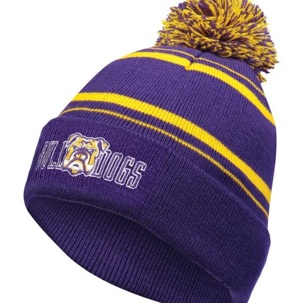 Homecoming Beanie Thumbnail